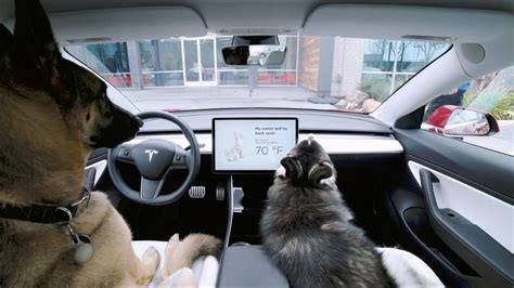 T­e­s­l­a­ ­A­r­a­ç­l­a­r­ı­ ­H­a­y­v­a­n­ ­D­o­s­t­l­a­r­ı­n­ı­z­ı­ ­­D­o­g­ ­M­o­d­e­­ ­i­l­e­ ­G­ü­v­e­n­d­e­ ­T­u­t­u­y­o­r­!­